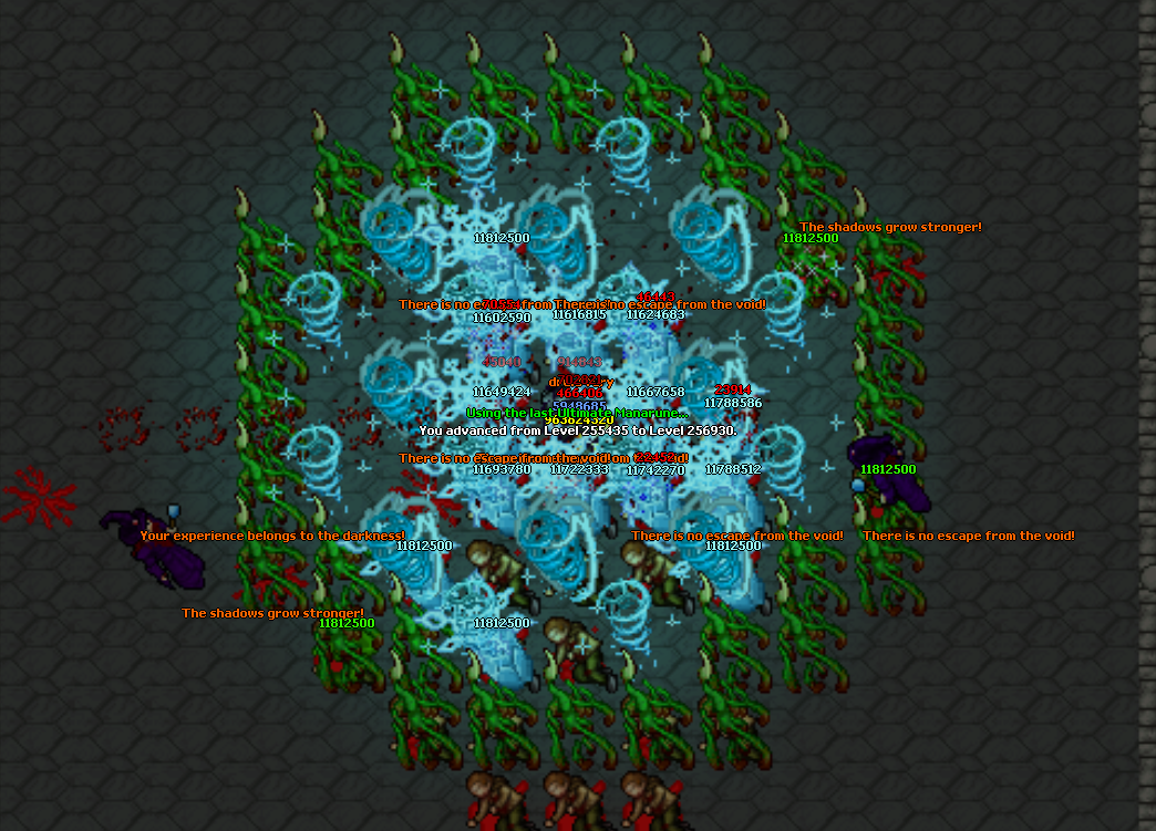 Player hunting monsters inside a private Castle respawn
