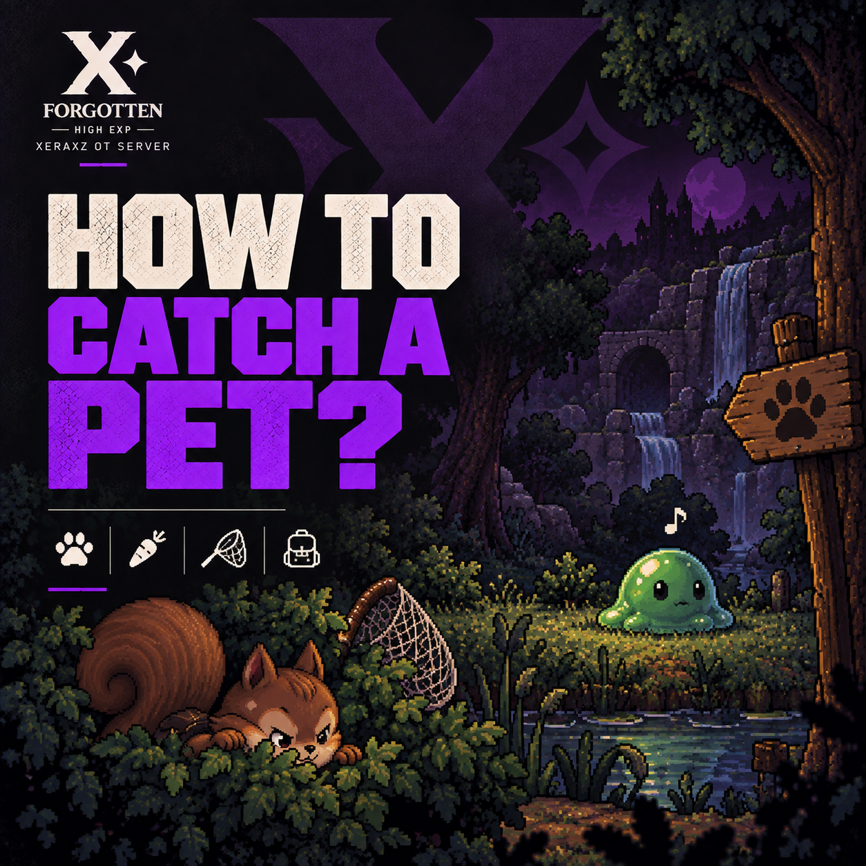 How to Pet guide